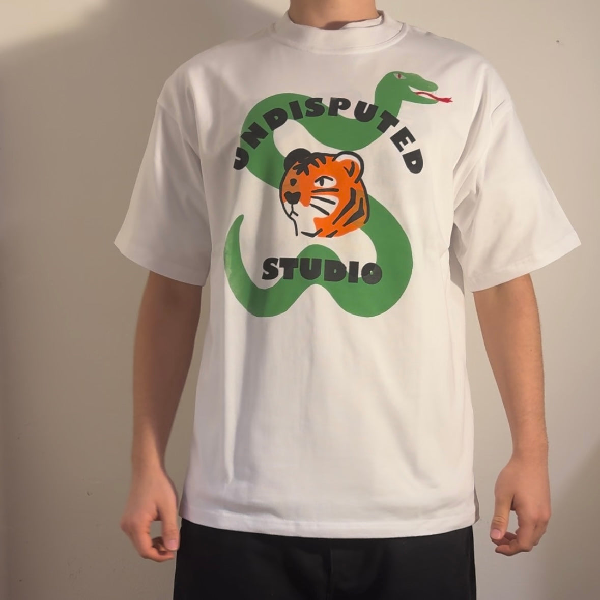 YEAR OF THE SNAKE T-SHIRT (1 OF 1)