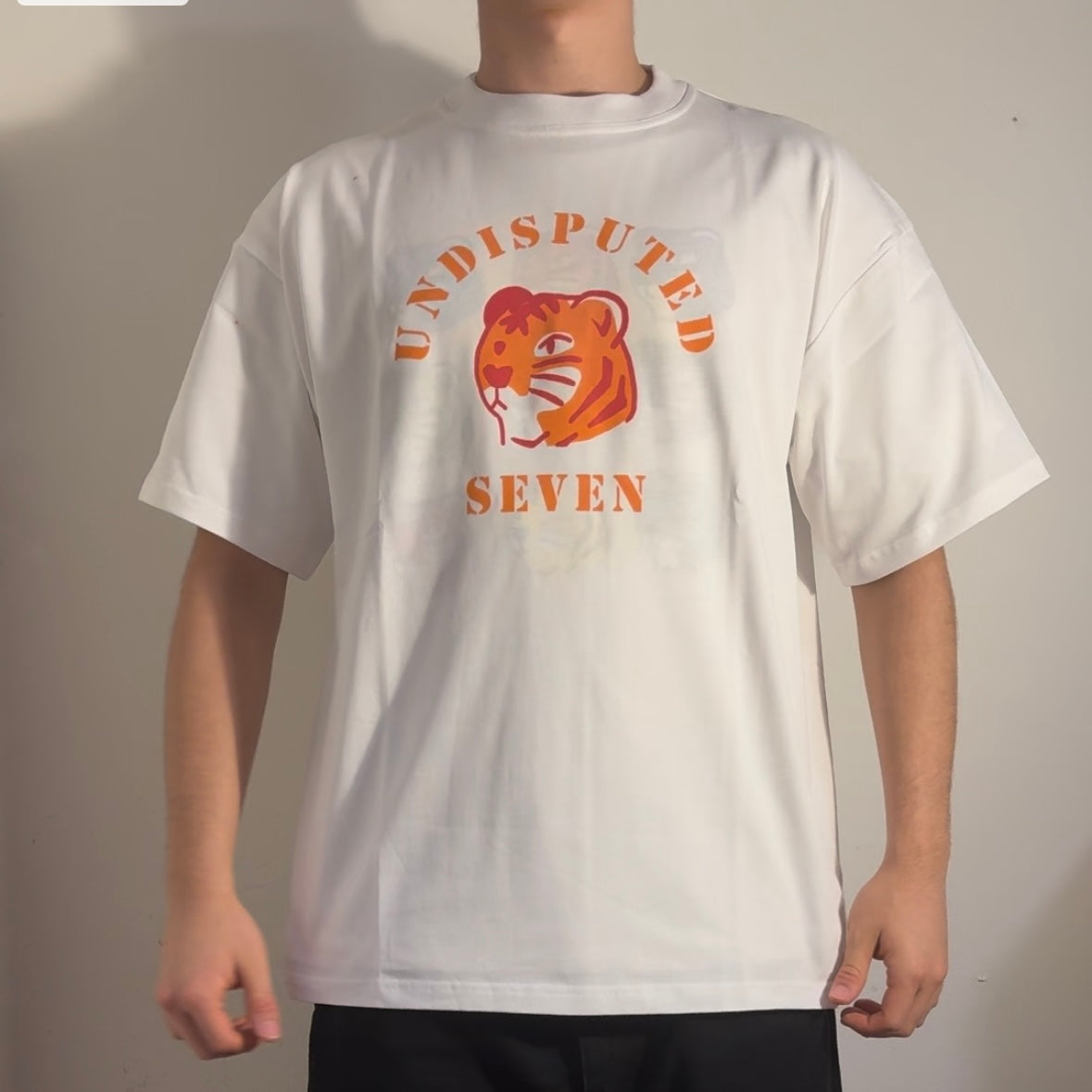 GRAPHIC T-SHIRT #13 (1 OF 1)